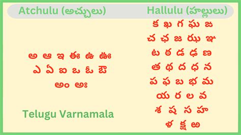 bets meaning in telugu|Bets Meaning In Telugu .